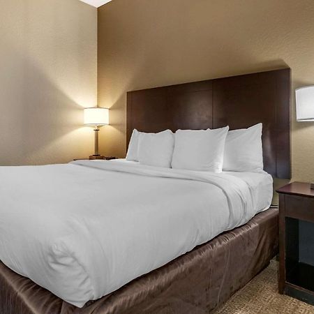 Comfort Inn & Suites Deland - Near University Bagian luar foto